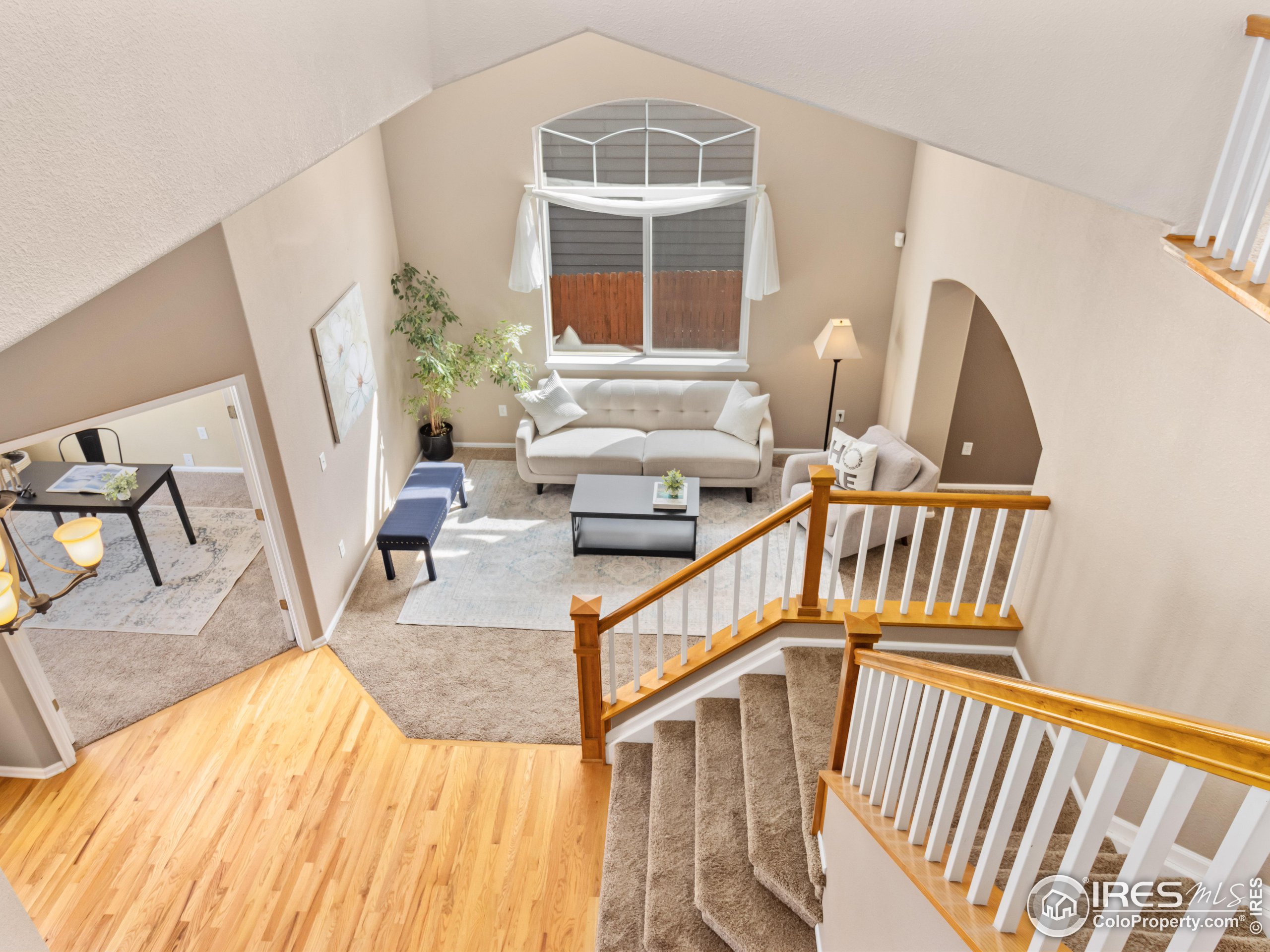 1517 Lark Bunting Pl