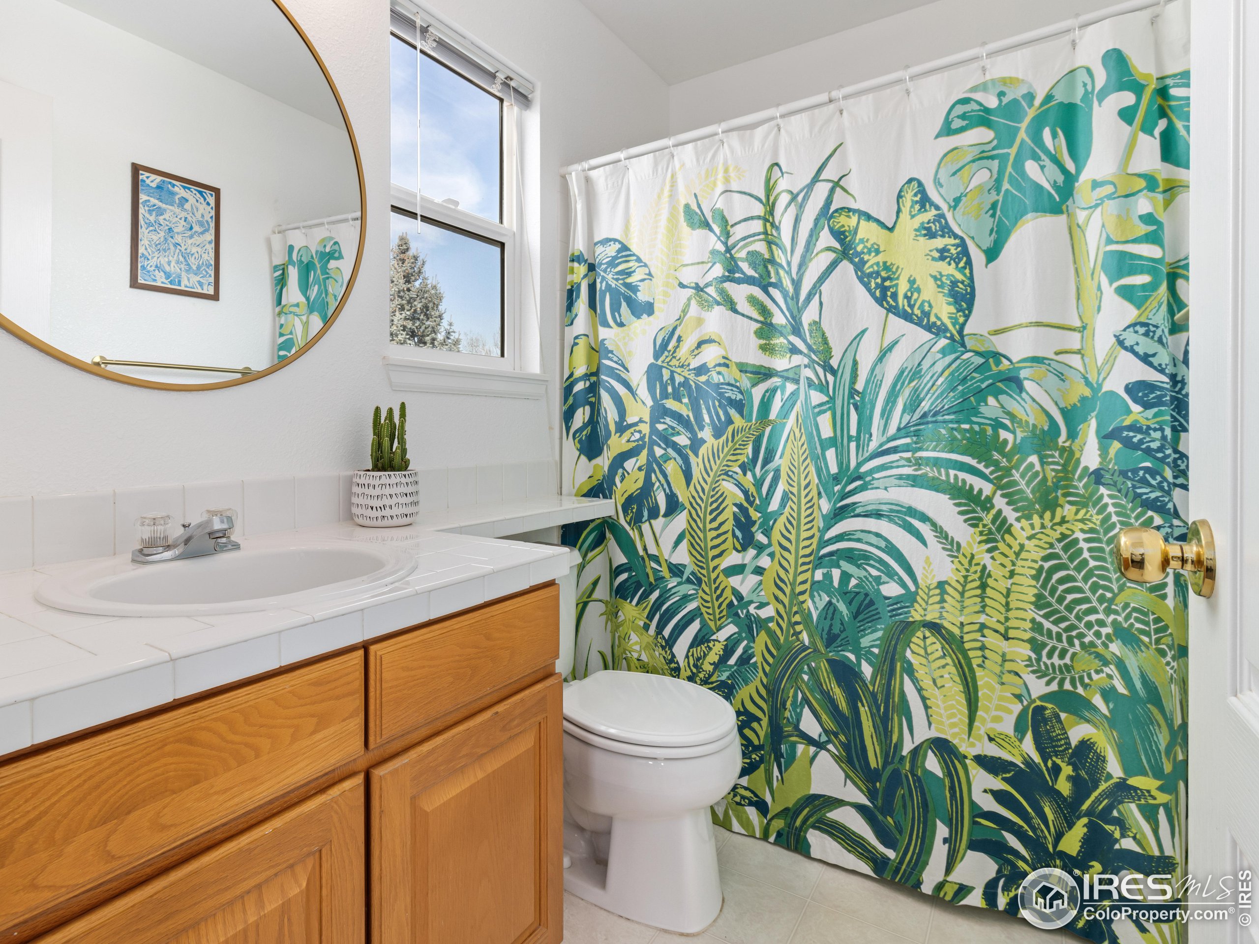 1517 Lark Bunting Pl