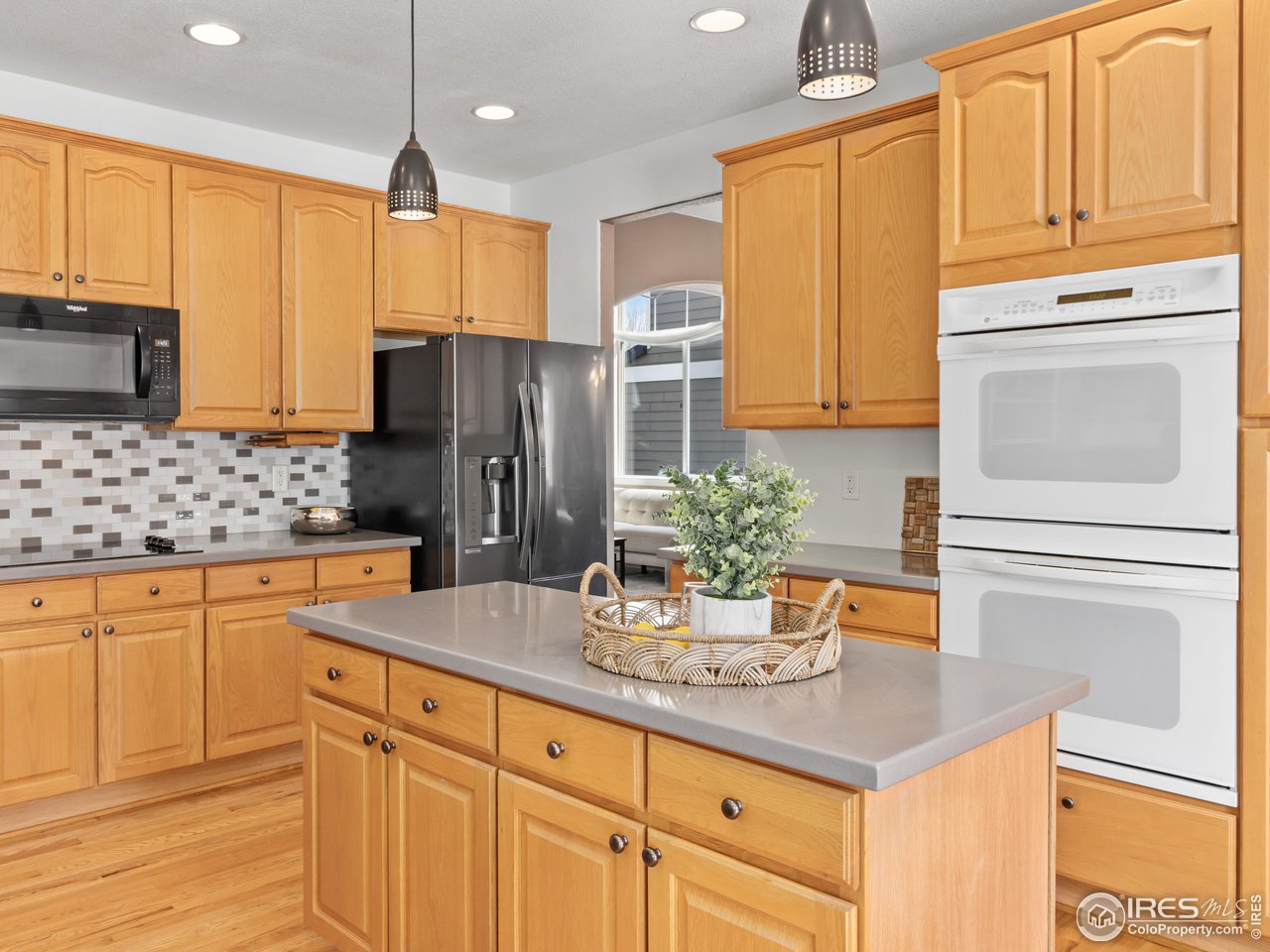 1517 Lark Bunting Pl