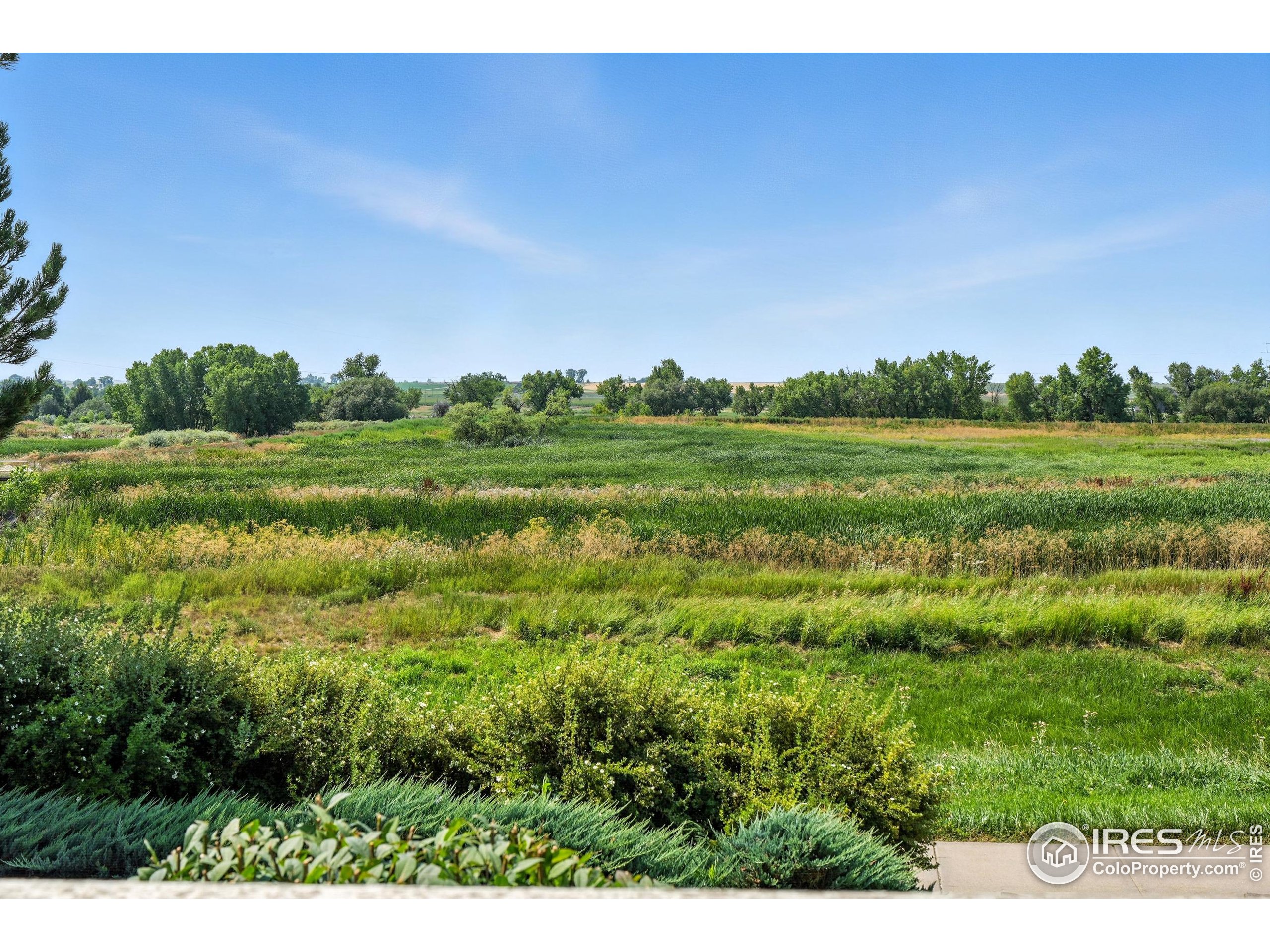 1601 Great Western Dr L6