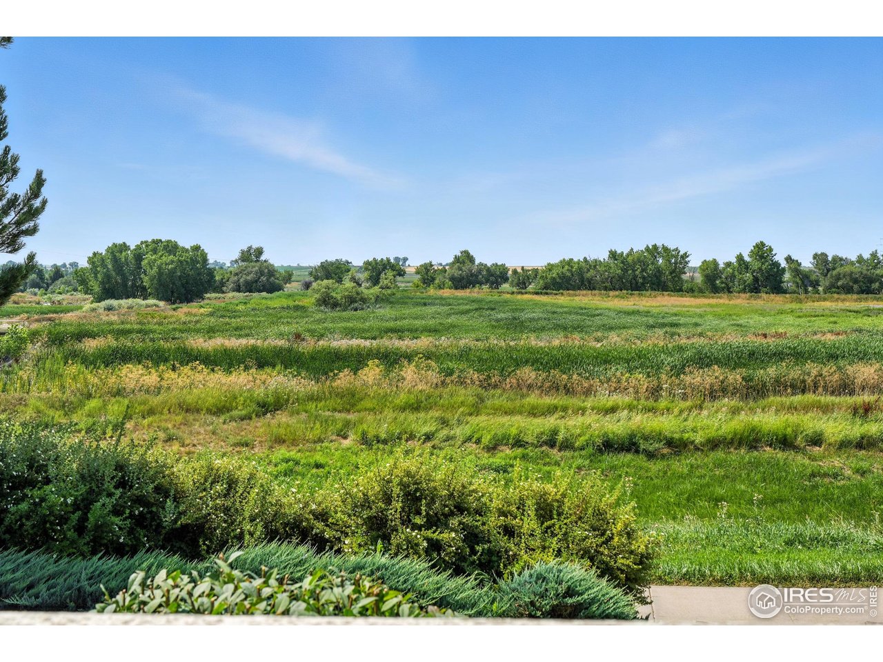 1601 Great Western Dr L6