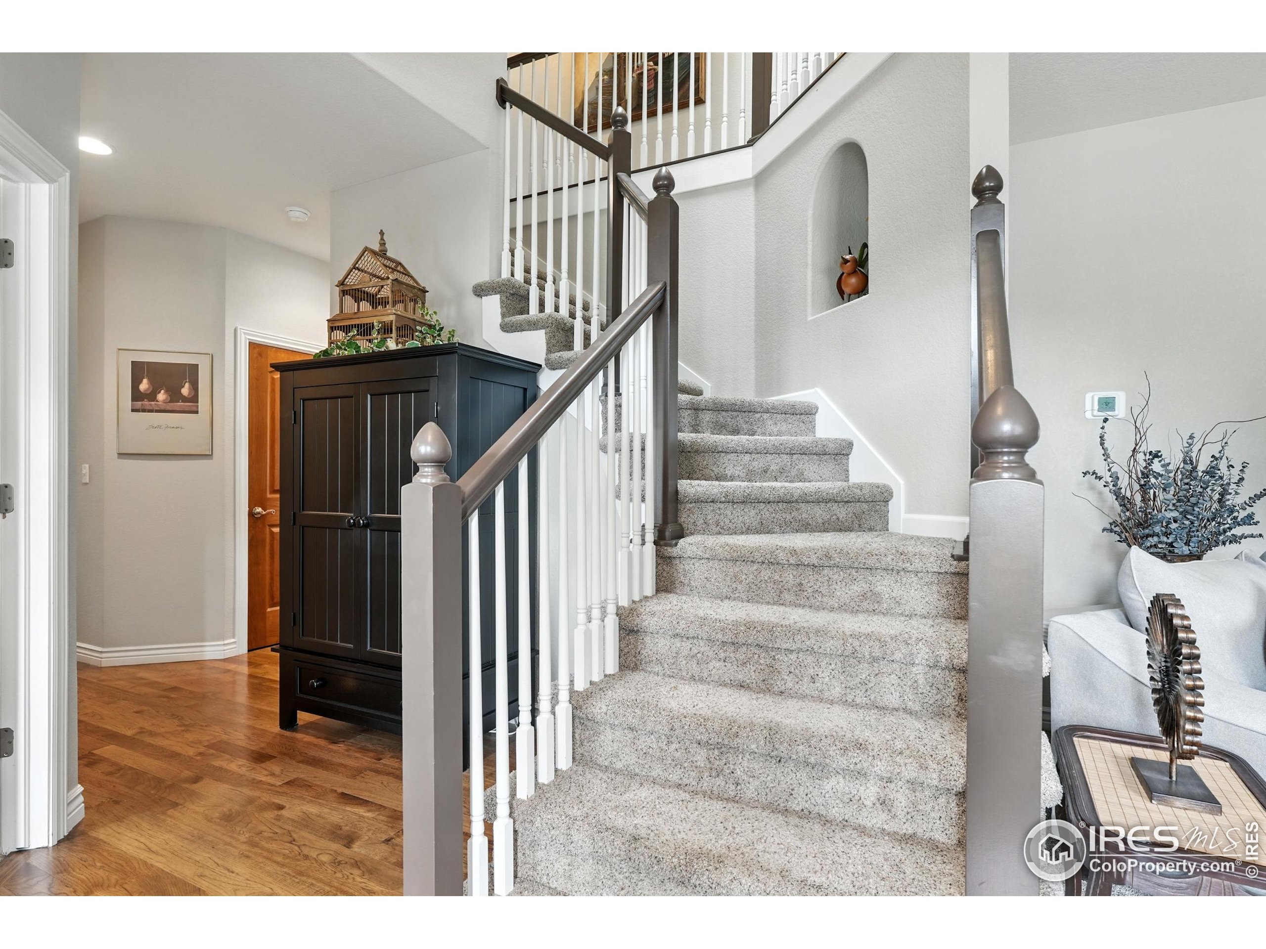 2443 Mallard Cir