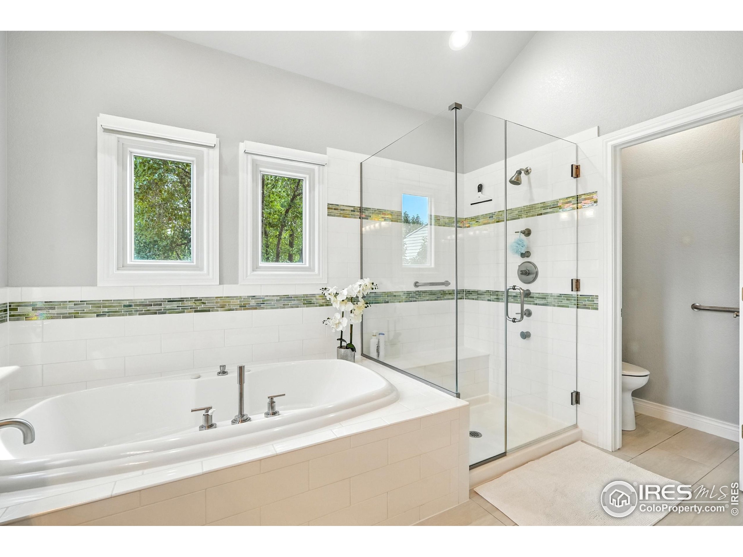 802 Neon Forest Cir