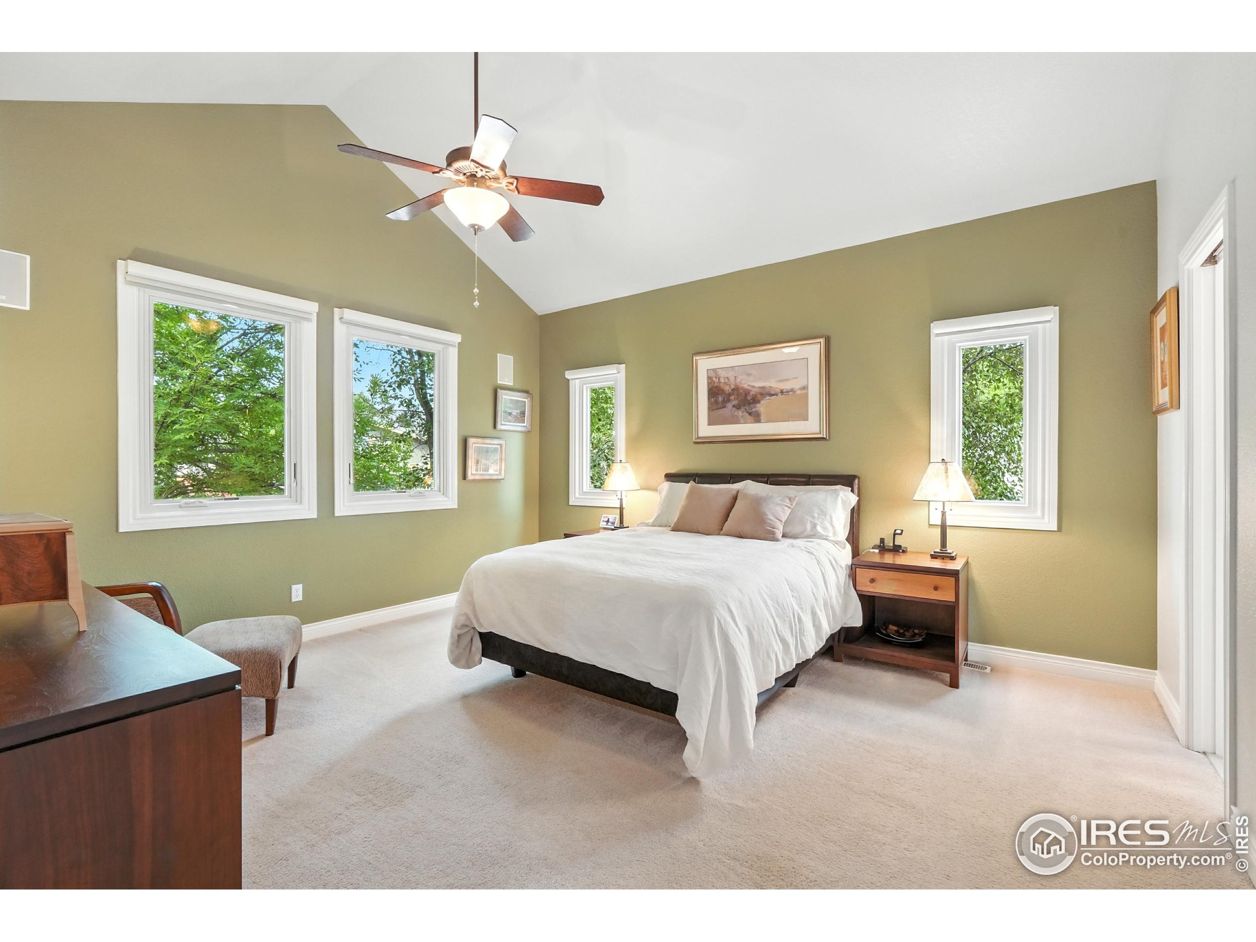 802 Neon Forest Cir