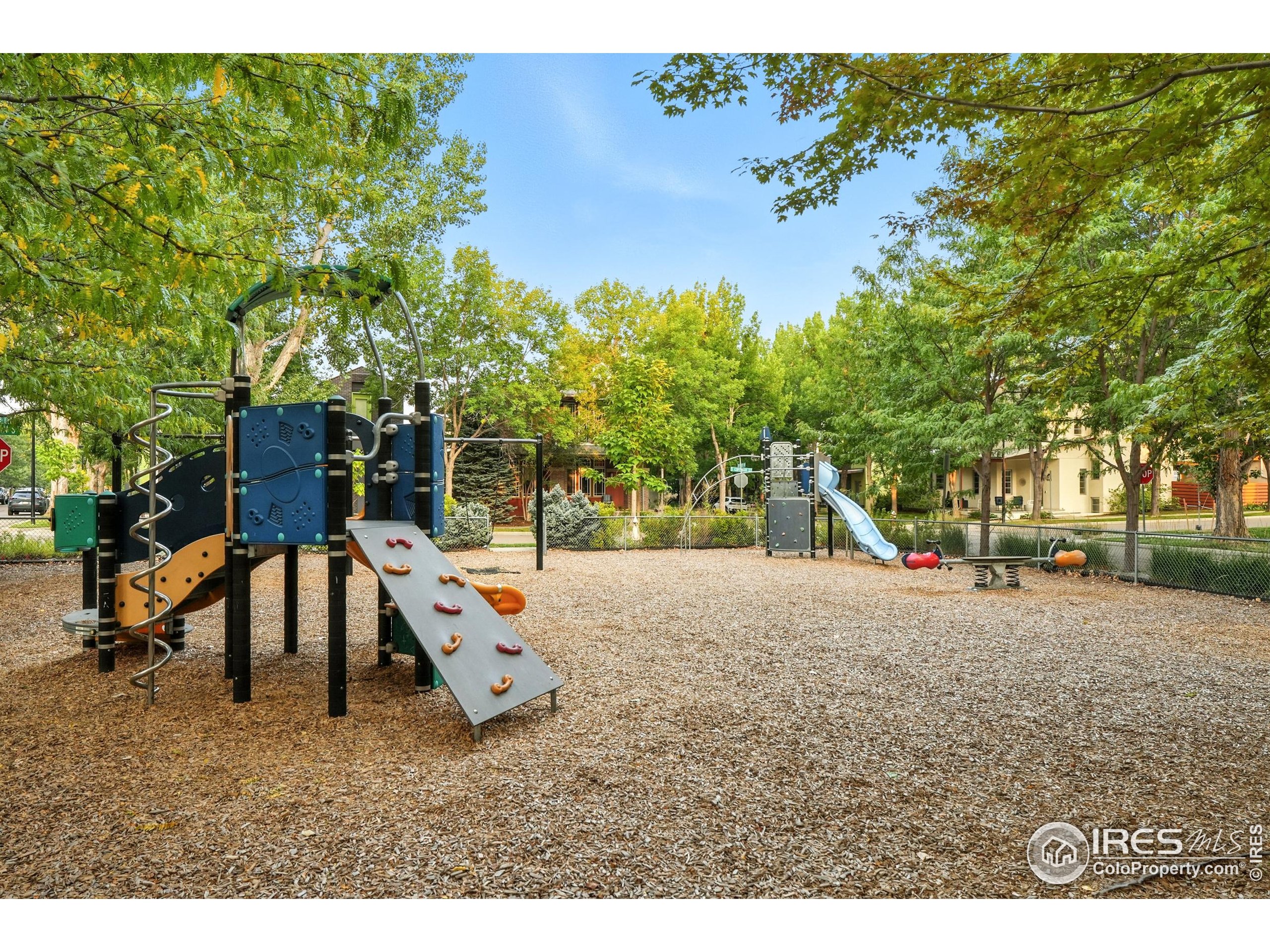 802 Neon Forest Cir