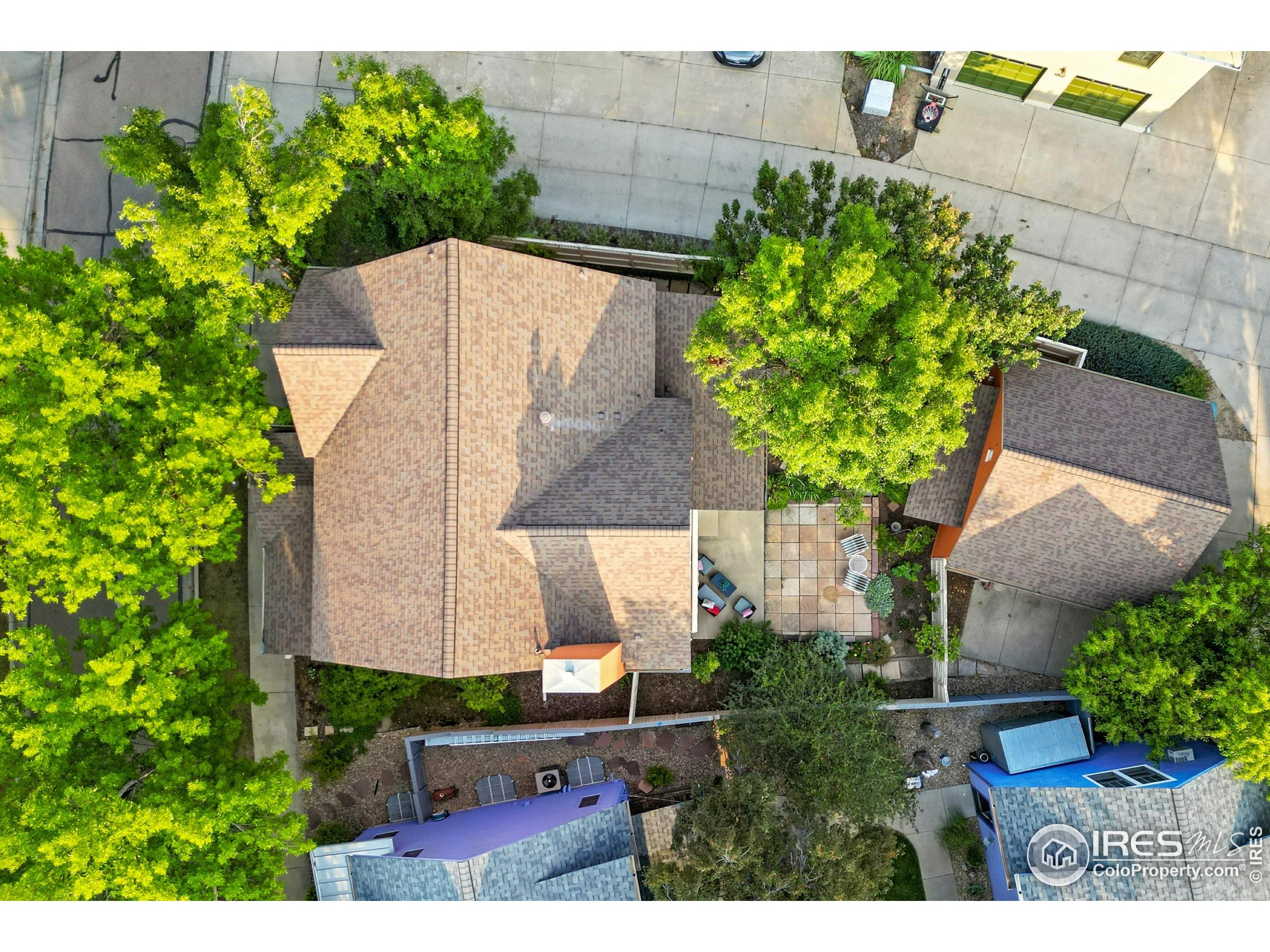 802 Neon Forest Cir