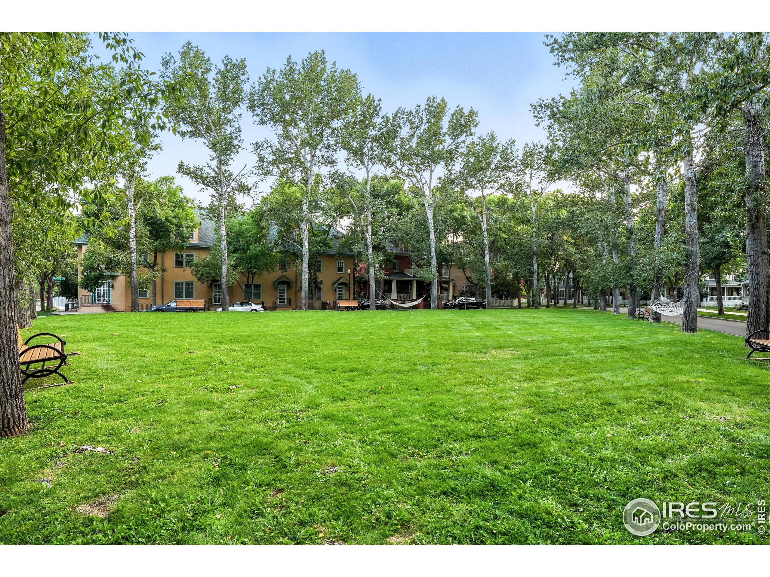 802 Neon Forest Cir