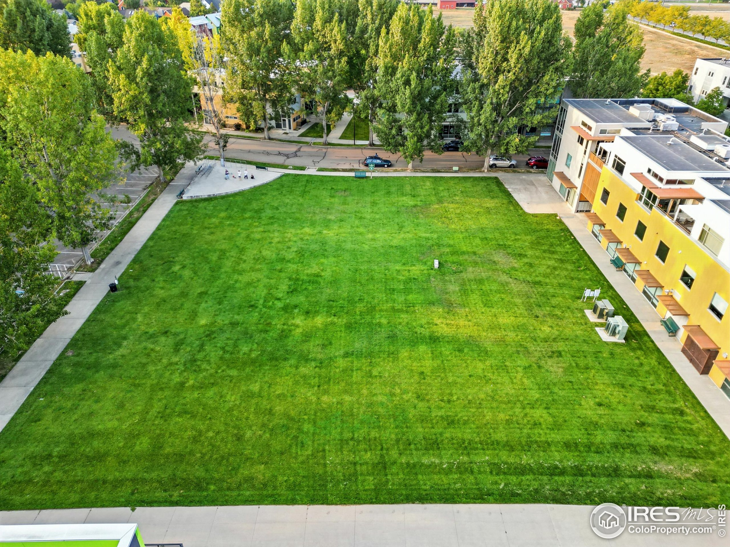 802 Neon Forest Cir