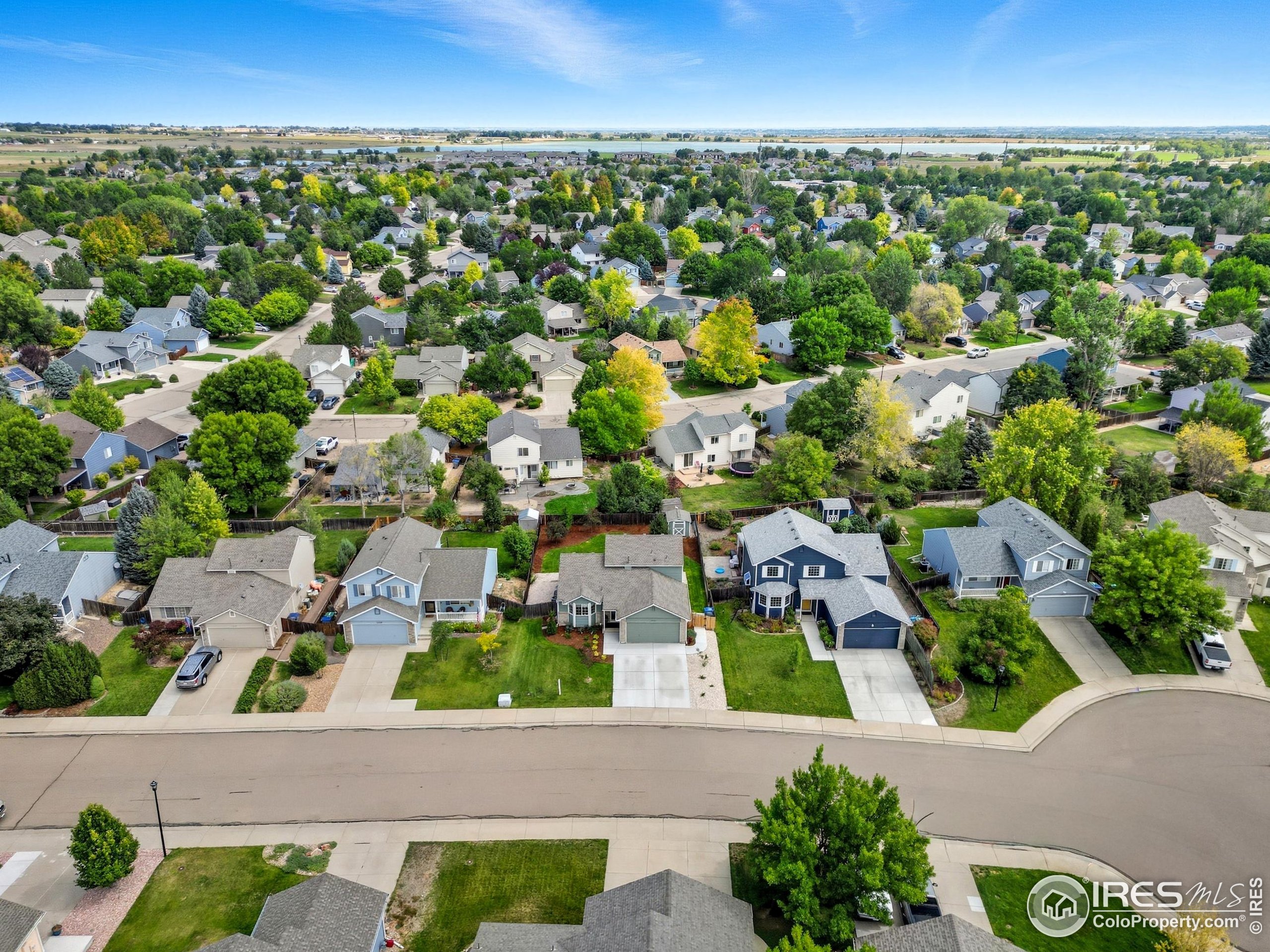1504 Pinewood Ct