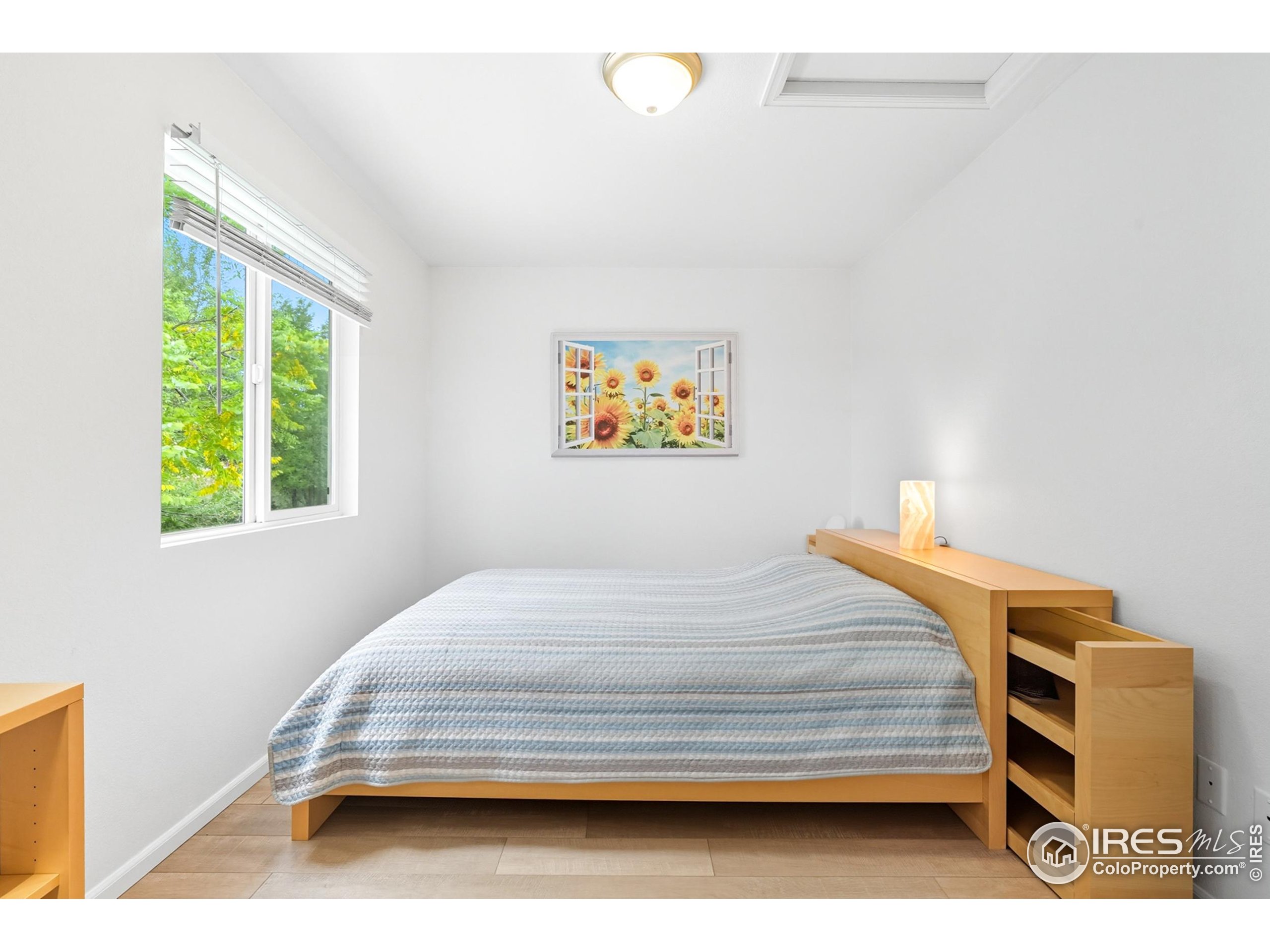 1245 Trail Ridge Rd