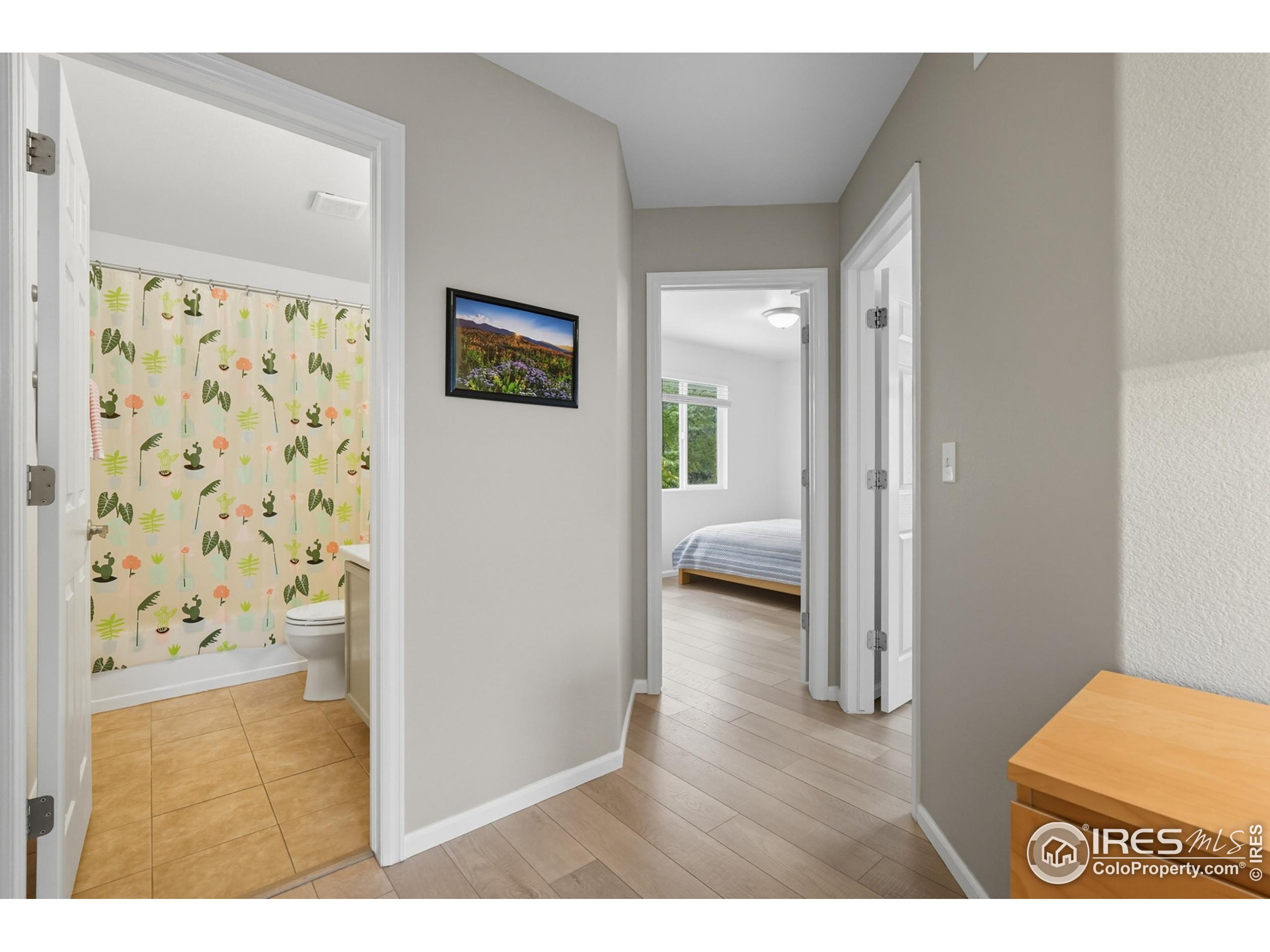 1245 Trail Ridge Rd