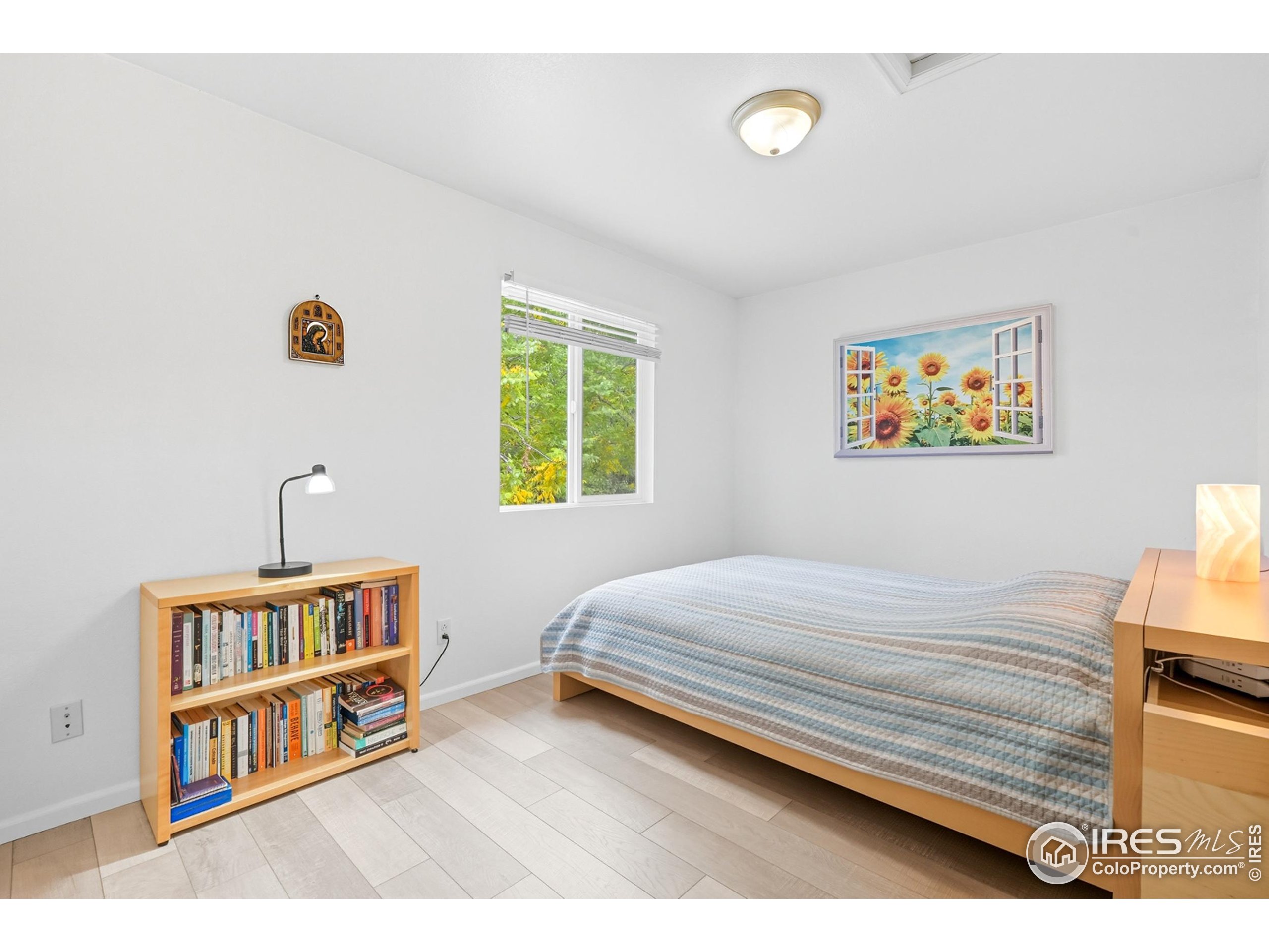 1245 Trail Ridge Rd
