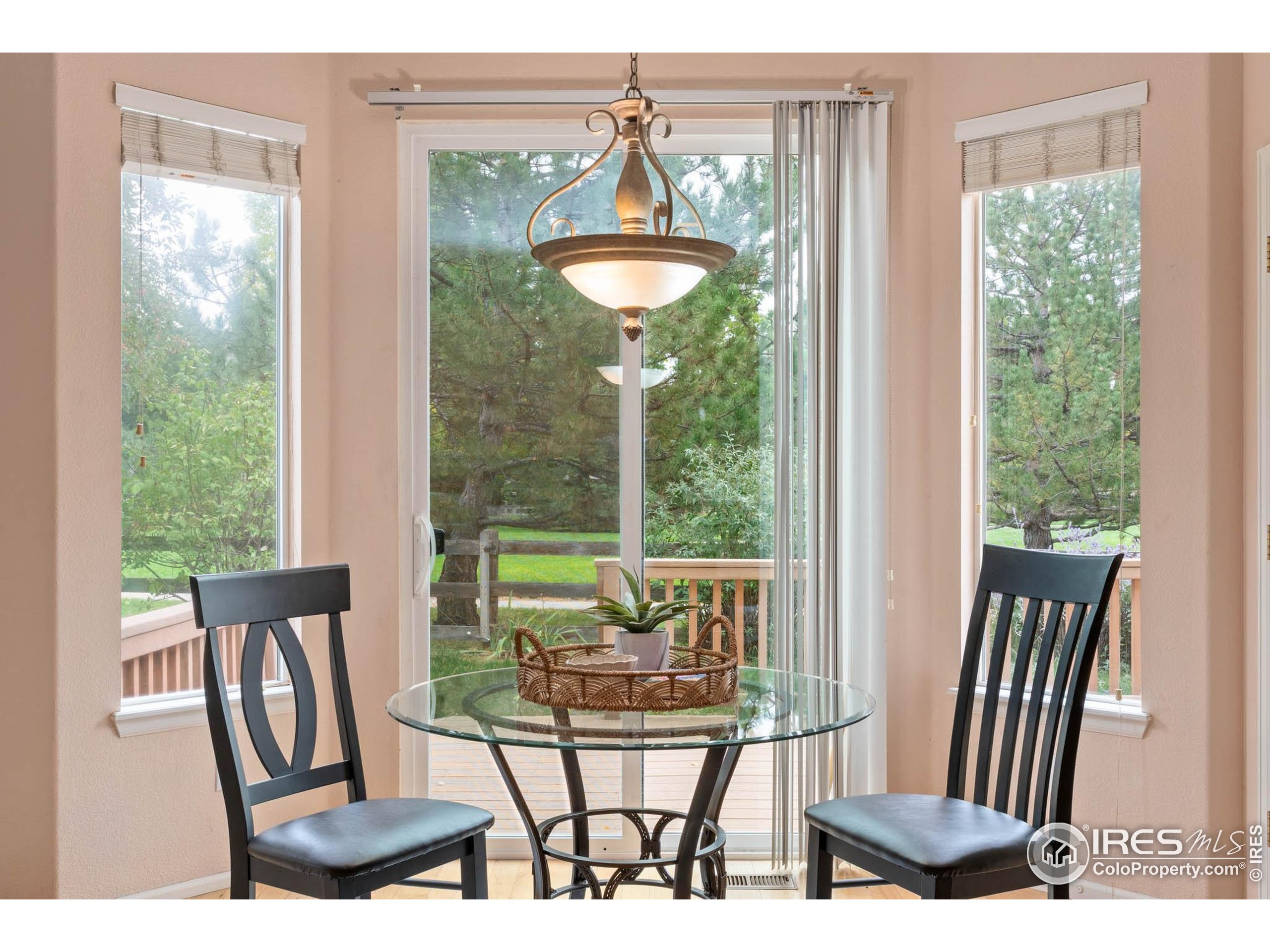 1914 Rannoch Dr Longmont