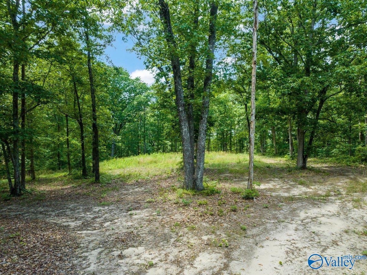 105 South Ridge Drive