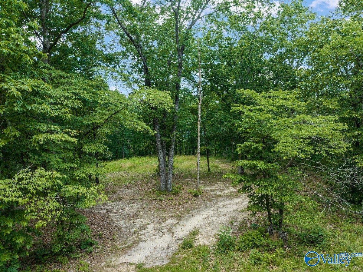 105 South Ridge Drive