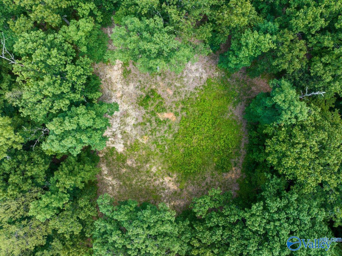 105 South Ridge Drive