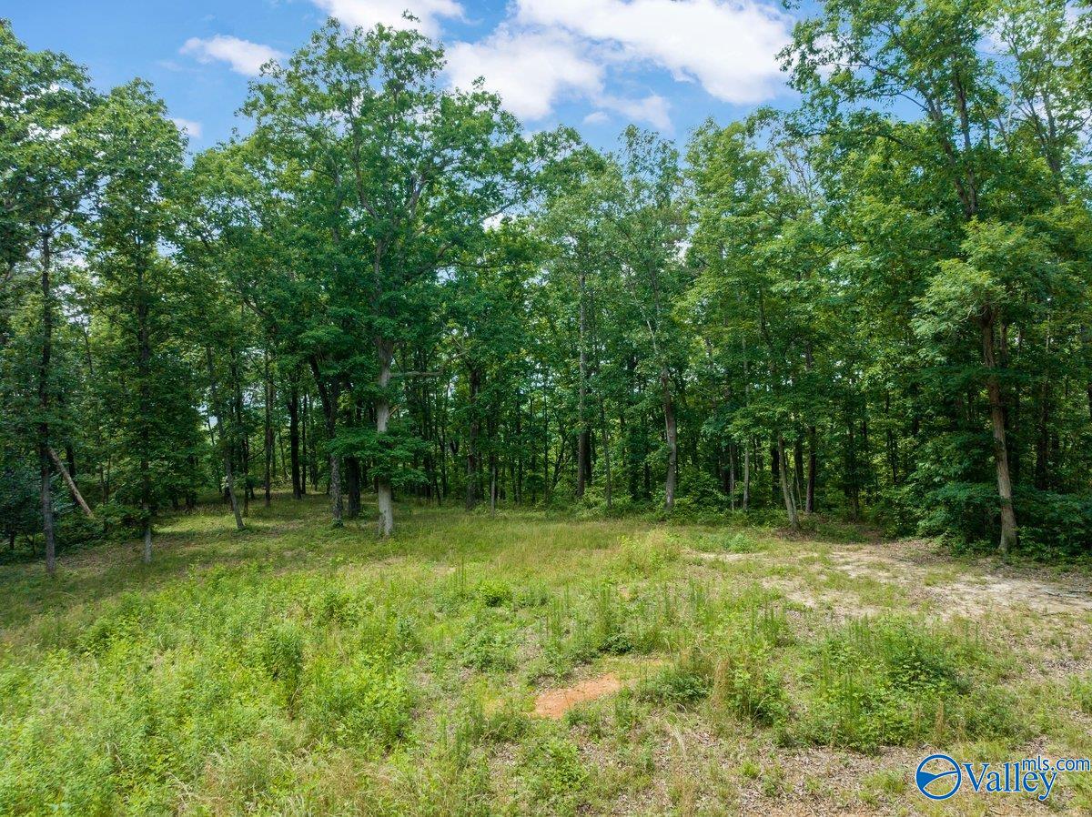 105 South Ridge Drive