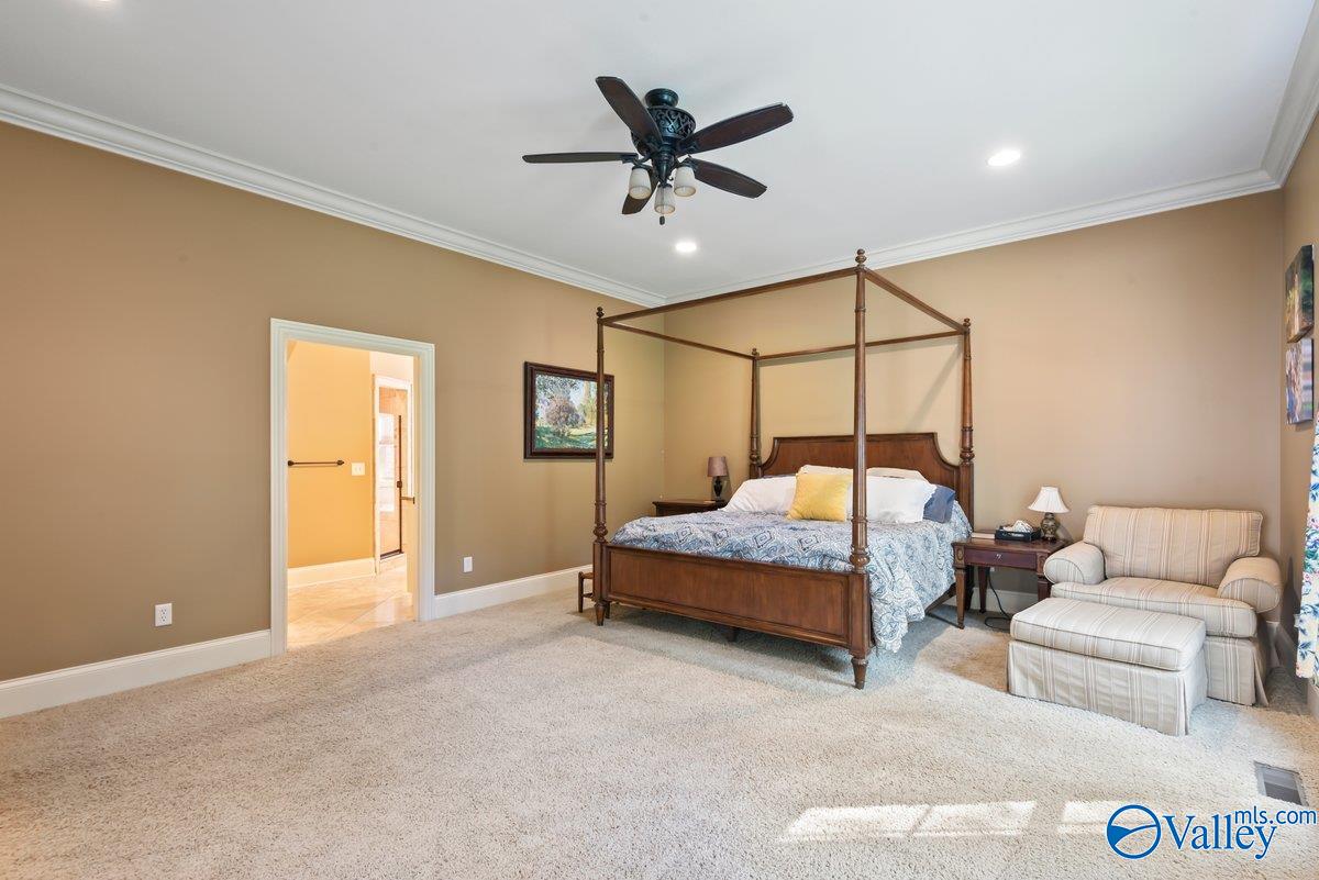 97 Turning Leaf Drive