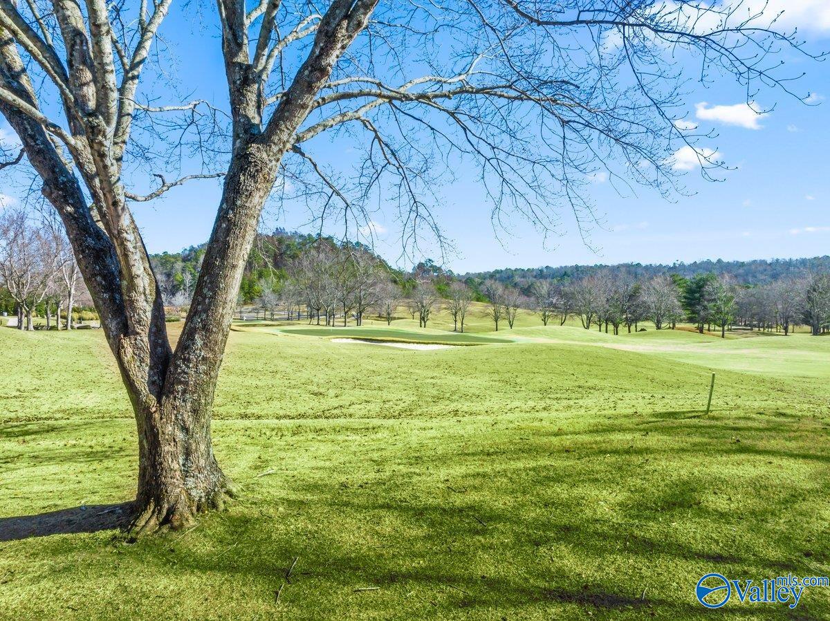 114 Ridgewood Circle