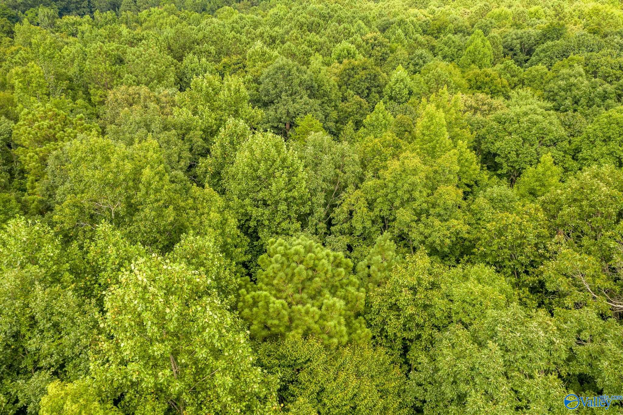 115 Ac Ausby Light Road