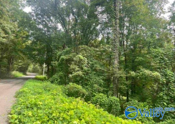 40 Ac Forman Bottoms Road