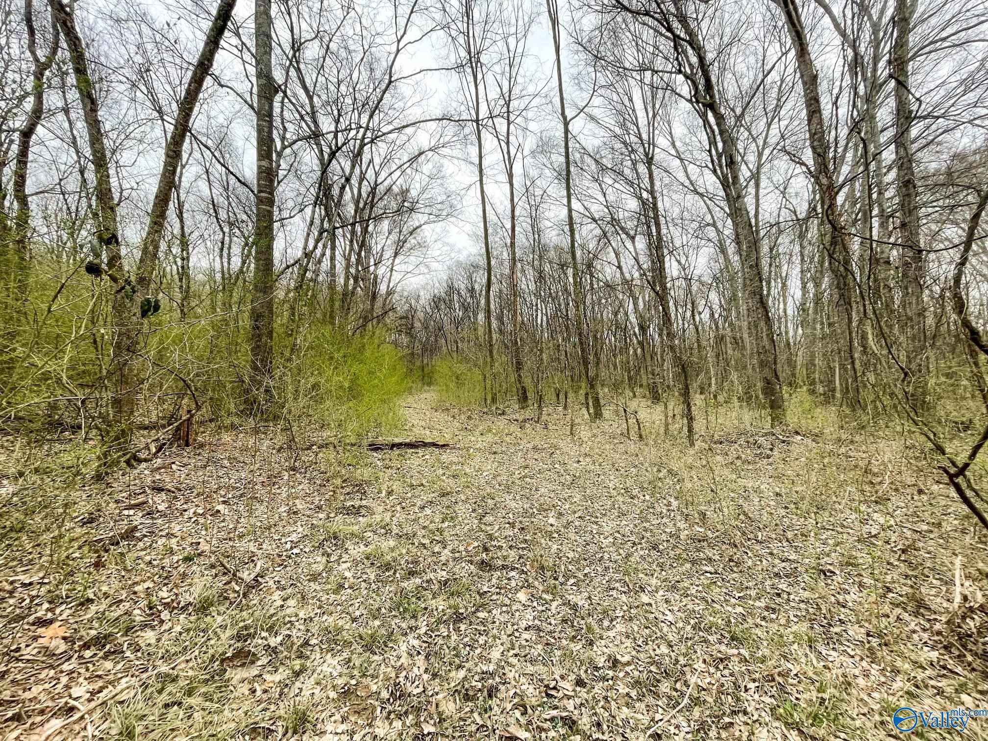 40 Ac Forman Bottoms Road