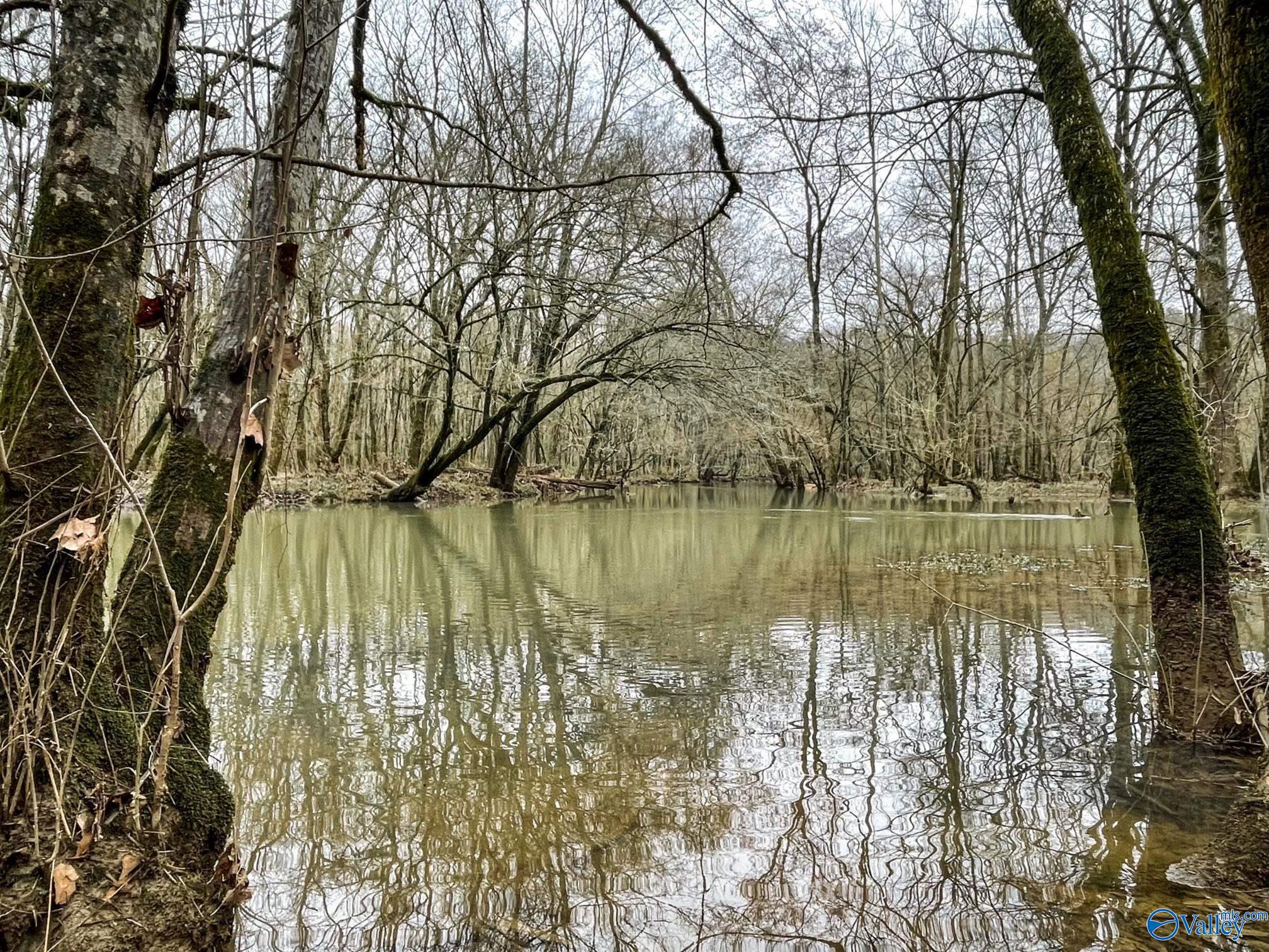 40 Ac Forman Bottoms Road