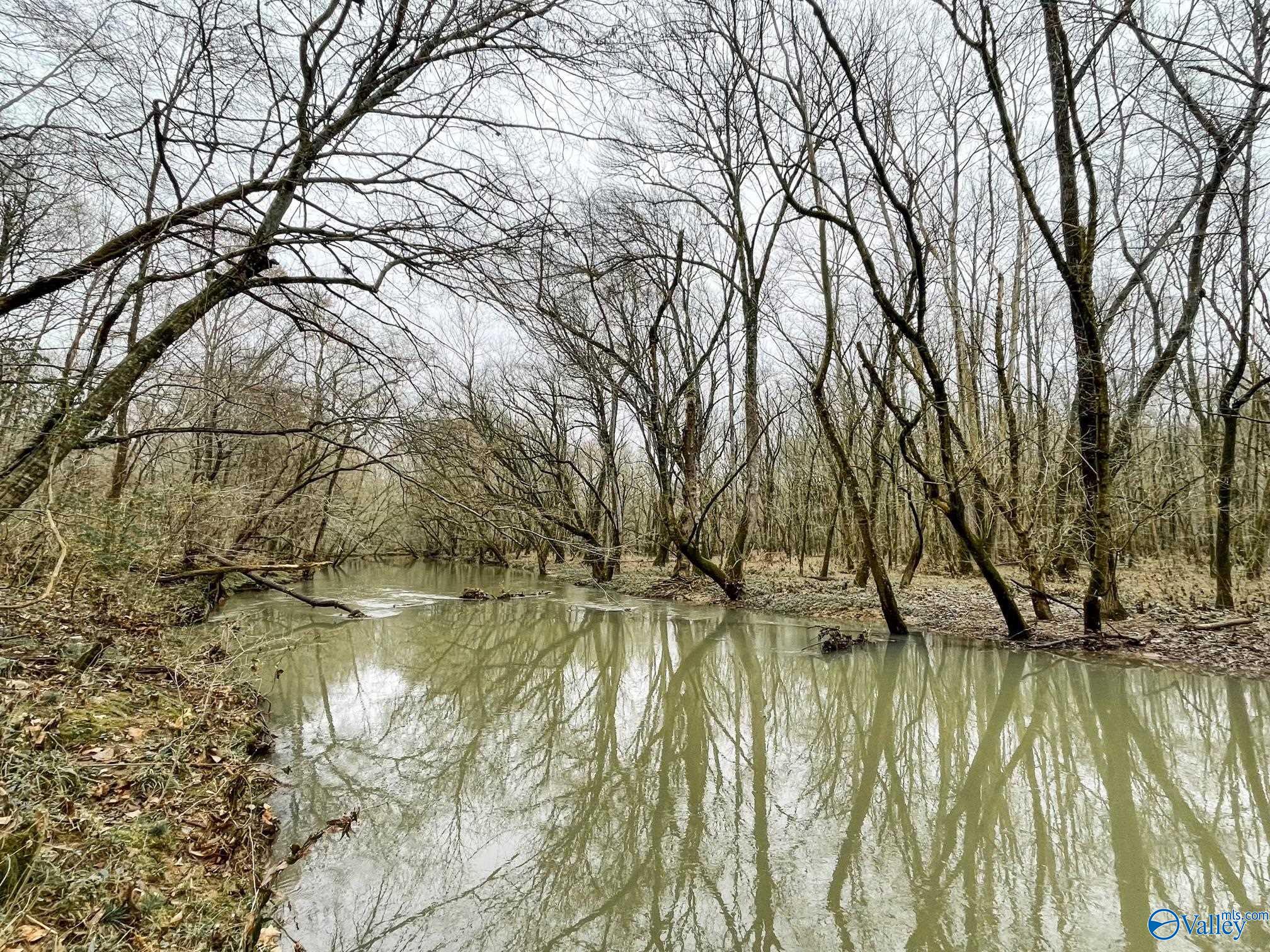 40 Ac Forman Bottoms Road