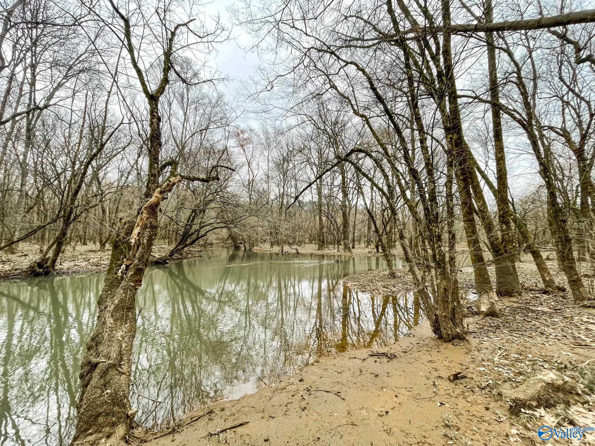 40 Ac Forman Bottoms Road