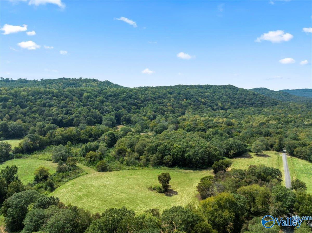 447 Forman Bottoms Road