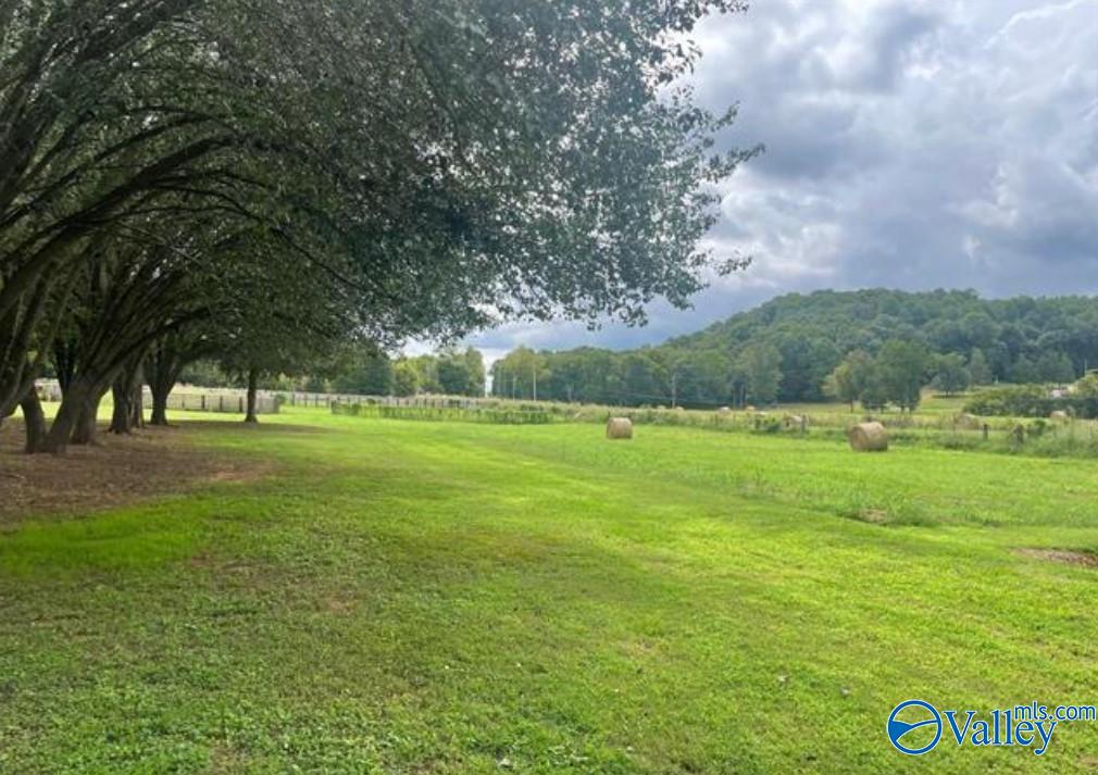 447 Forman Bottoms Road