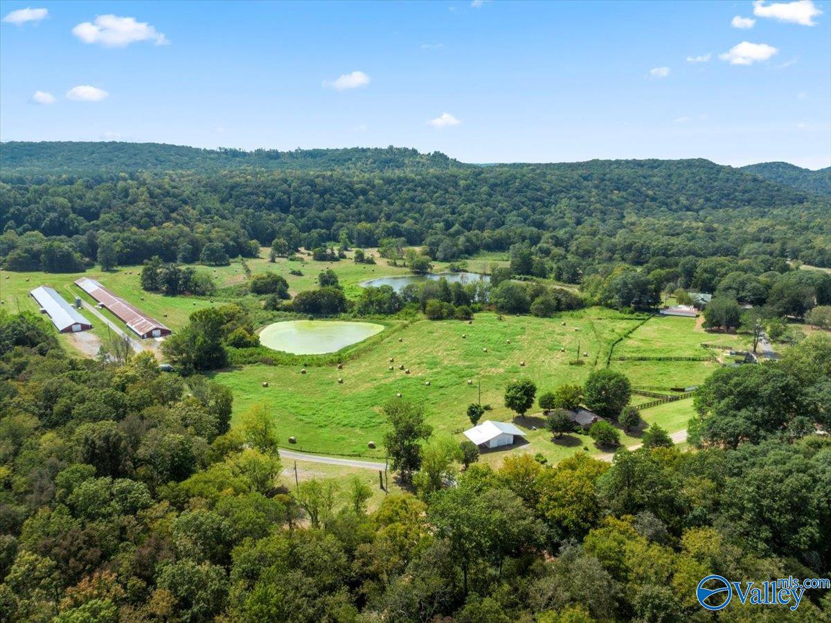 447 Forman Bottoms Road