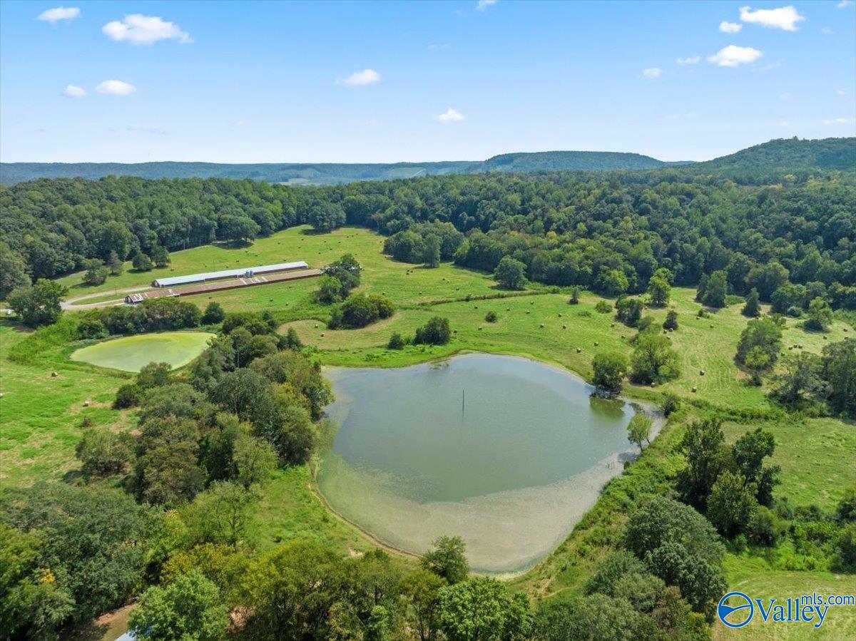 447 Forman Bottoms Road