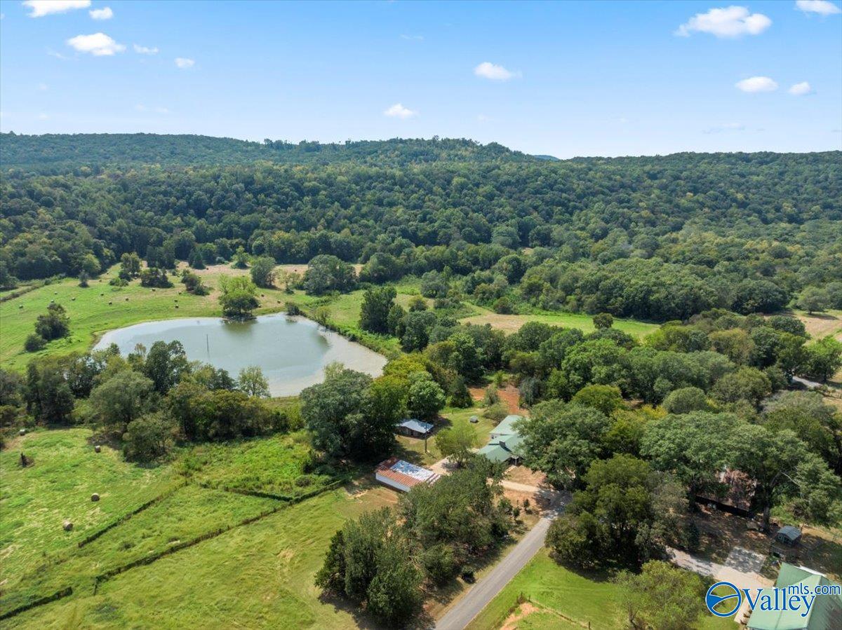 447 Forman Bottoms Road