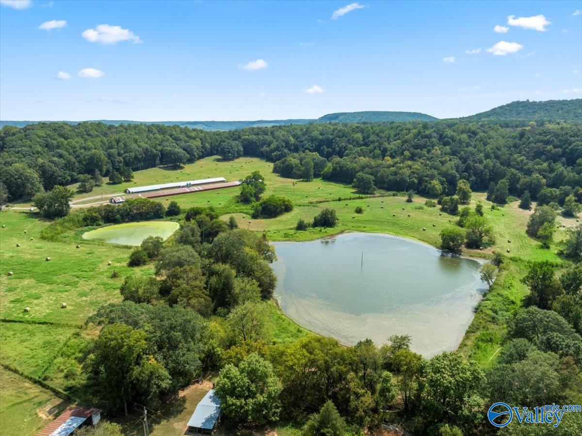 447 Forman Bottoms Road