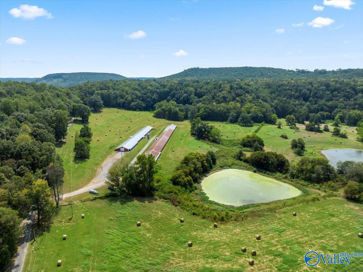 447 Forman Bottoms Road