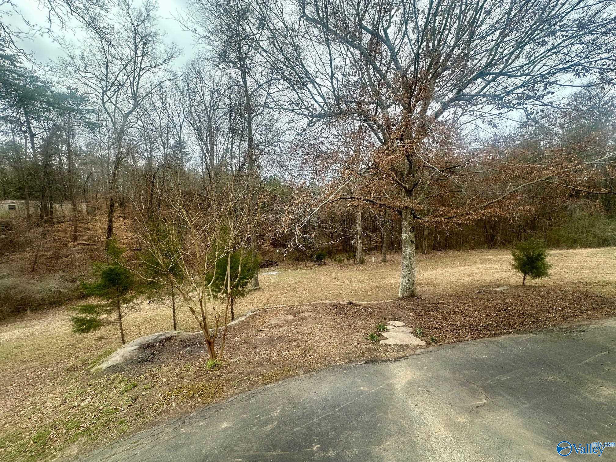 697 Wilson Mountain Road