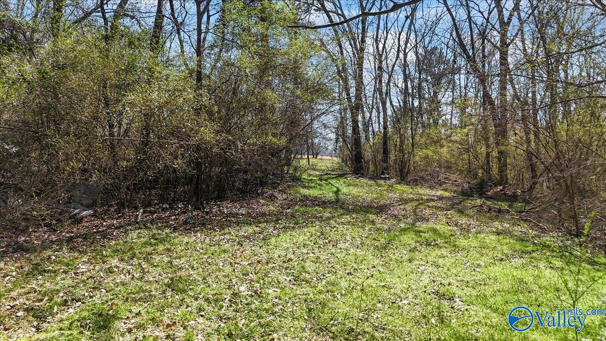 390 Forest Chapel Road