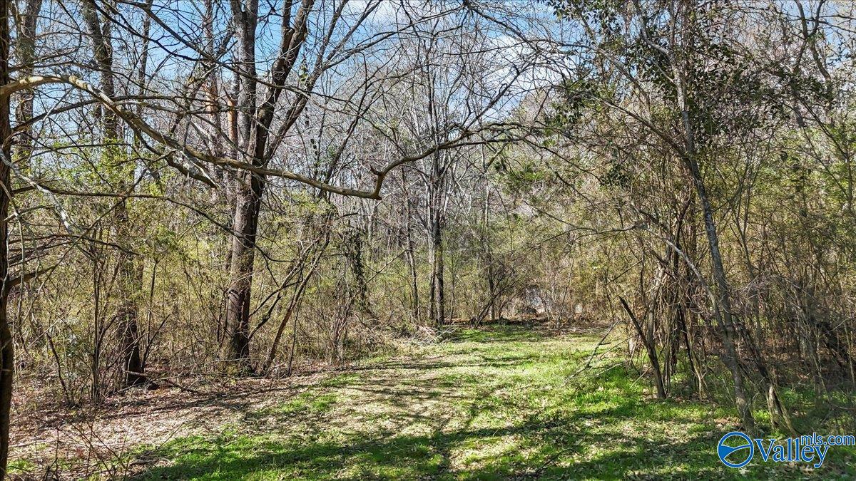 390 Forest Chapel Road