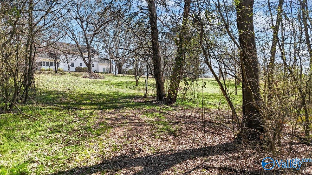 390 Forest Chapel Road