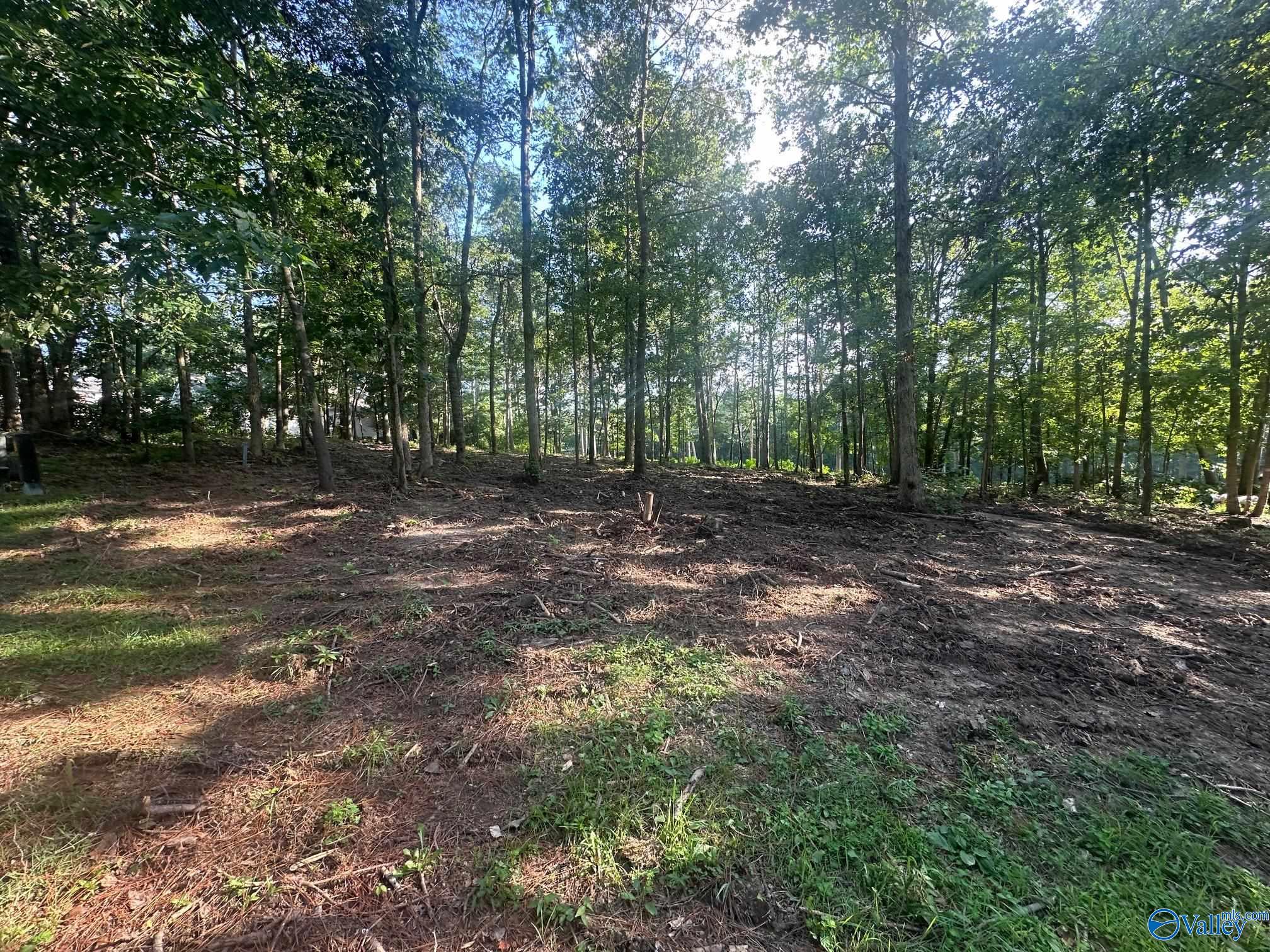 Lot 43 Savannah Circle