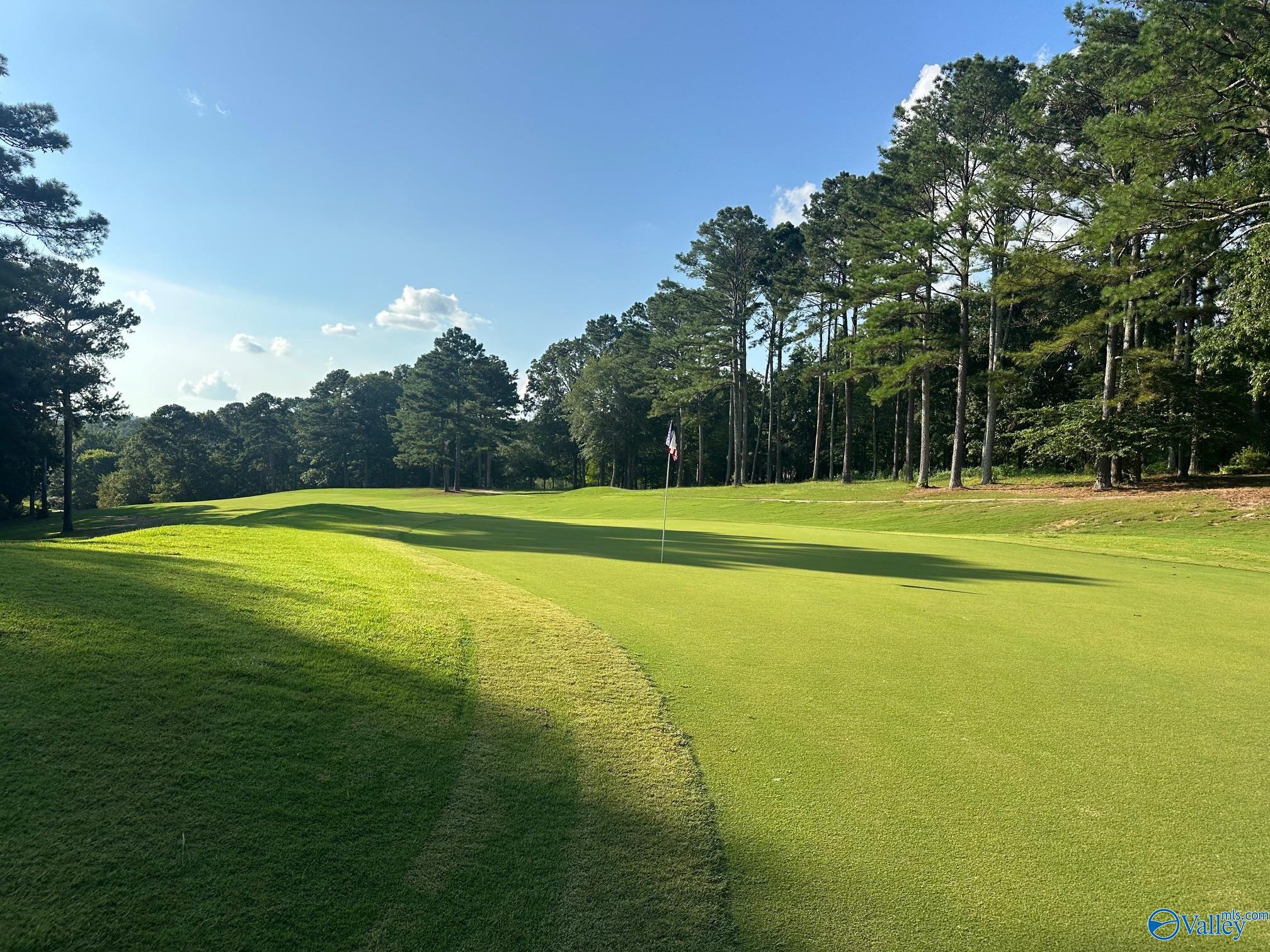 Lot 43 Savannah Circle