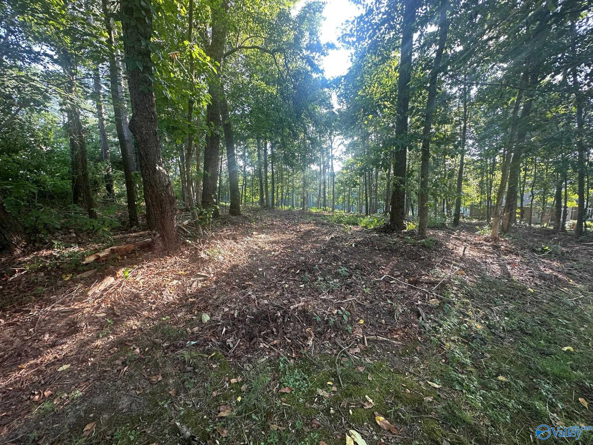 Lot 43 Savannah Circle