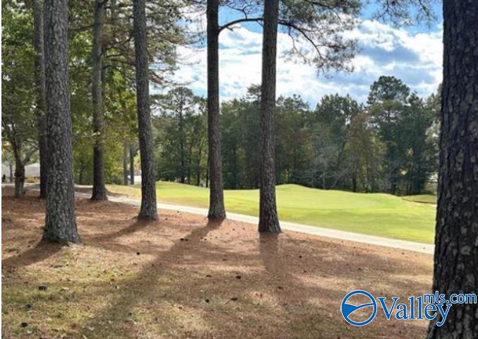 Lot 43 Savannah Circle