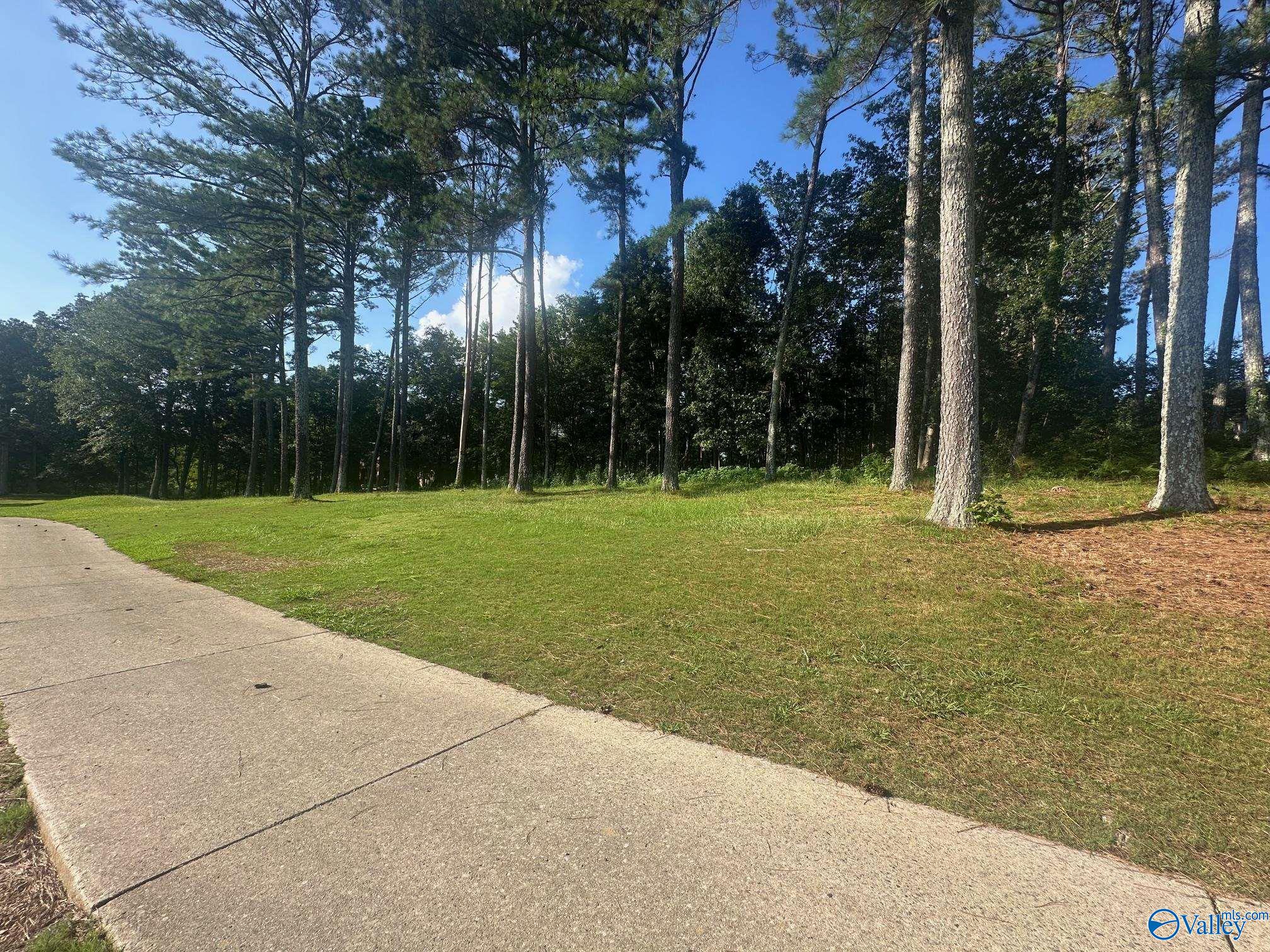 Lot 43 Savannah Circle