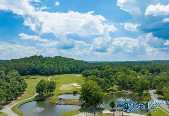 Lot 43 Savannah Circle