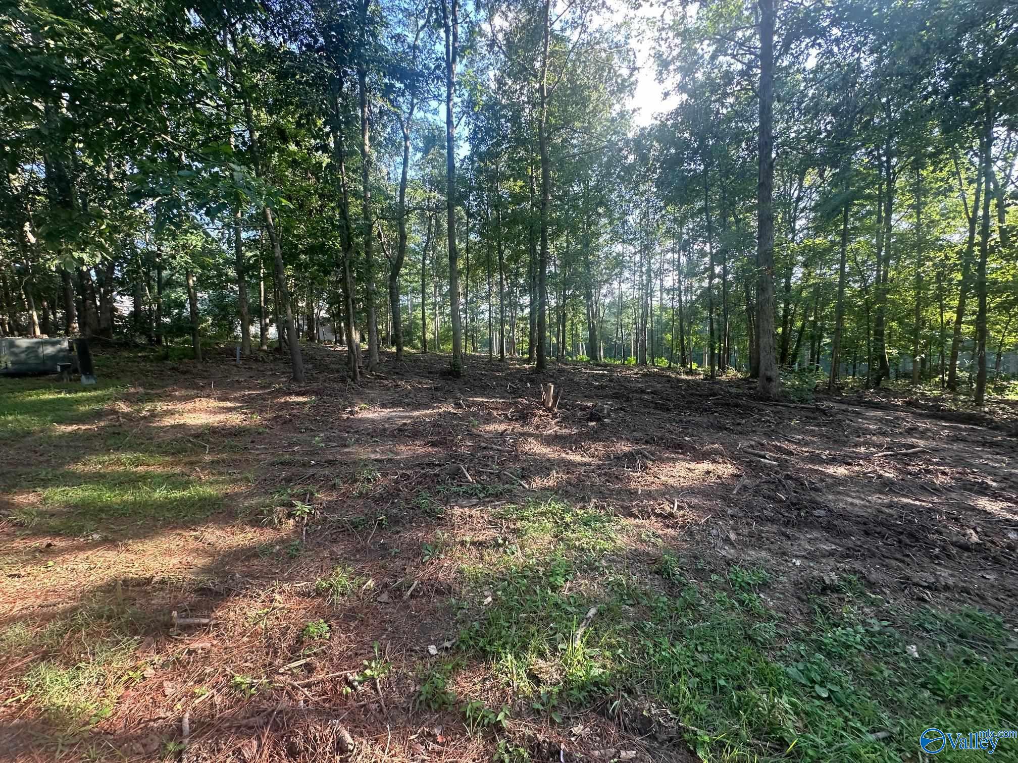 Lot 43 Savannah Circle