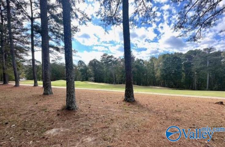 Lot 43 Savannah Circle