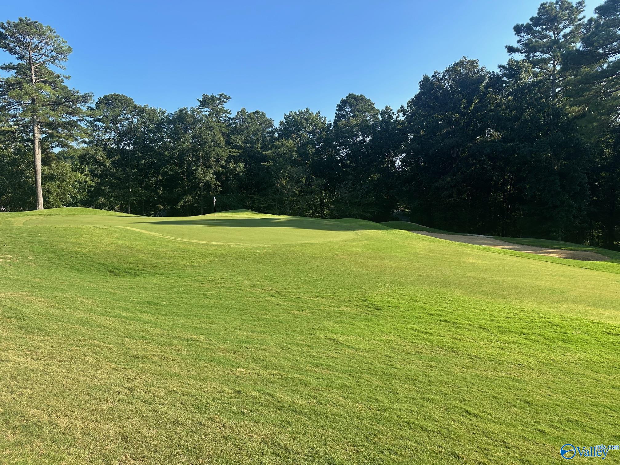 Lot 43 Savannah Circle