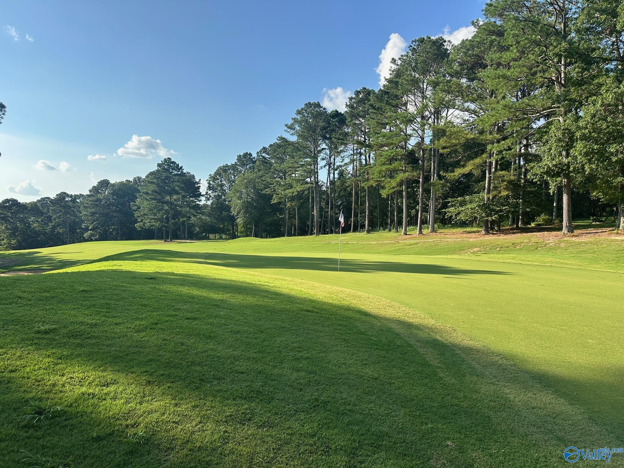 Lot 43 Savannah Circle